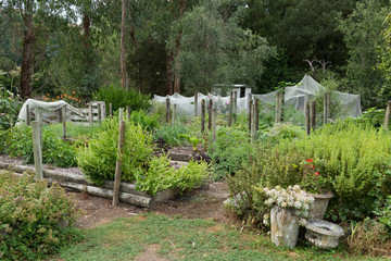 Old Farmers Garden with Plants