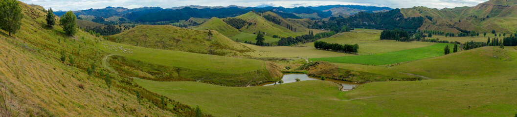 Panoramic Countryside in New Zealand