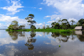 Wasserspiegel des Amazonas mit Bäume und Häuser
