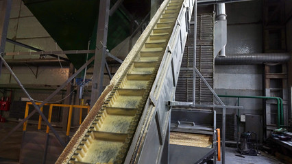 Shop plant for the production of pellets from biomass .Biofuel.