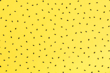 Sesame seeds on yellow background set pattern for food background