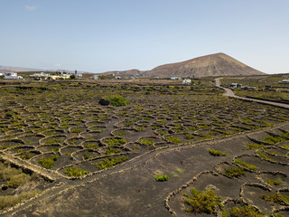 Vista aerea delle coltivazioni vinicole sui terreni vulcanici dell’isola di Lanzarote, pianure e...