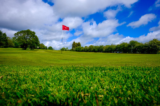 Sunny golf course