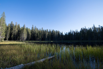 Lac américain