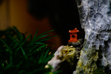 Kleine rote Hütte