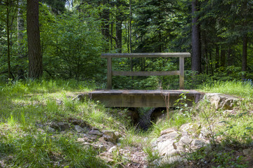 brücke im wald 