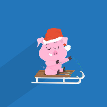 cute pig symbol of 2019 chinese new year on sledge merry christmas holiday concept flat vector illustration