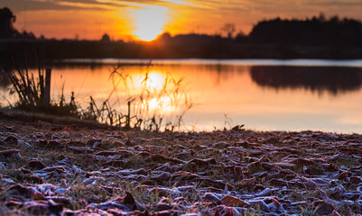 Frosty November Morning - 232996649