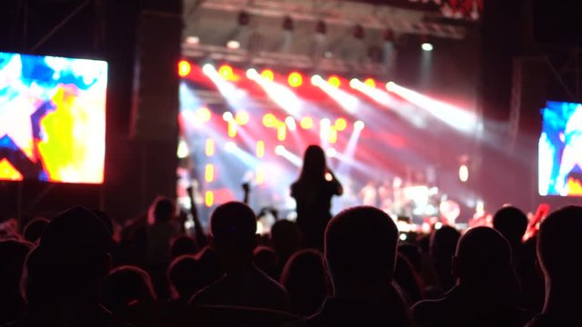 Footage of a silhouette crowd partying, dancing at a concert.