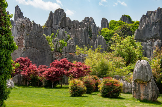 Natural wonder of china's stone forest