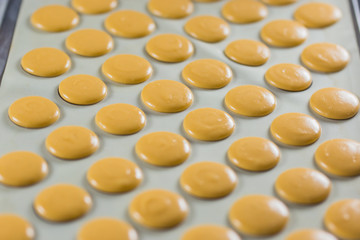 Macaroons on the film for vypikaniya. The process of cooking macaroon. Food industry, mass or volume production