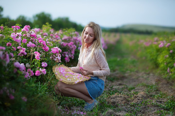 Pretty Young tender woman walking in the tea roses field. Blond lady wearing jeans and retro hat enjoy summer day