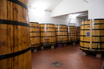 Veneto, cantina con botti di distillato e distilleria.