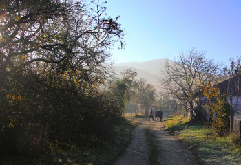 frost on the grass plain in front of the mountains