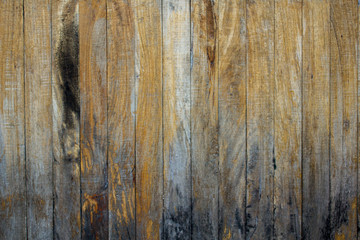 old wooden wall with black mold and moss. natural wood surface texture.