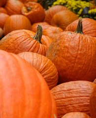 Pumpkins
