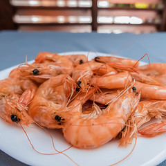Boiled shrimps on a white plate.