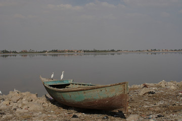 Qarun Lake