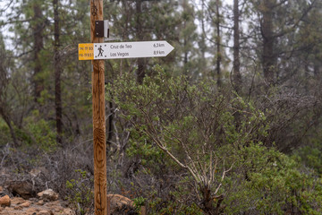 Views of Paisaje Lunar (Lunar Landscape)  and its burned canary pine forest in cluds, Tenerife, Canary Islands