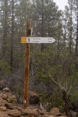 Views of Paisaje Lunar (Lunar Landscape)  and its burned canary pine forest in cluds, Tenerife, Canary Islands