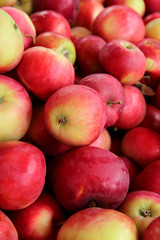 Fototapeta na wymiar pile of red apples