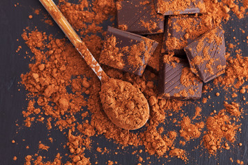 Broken dark chocolate with cocoa powder