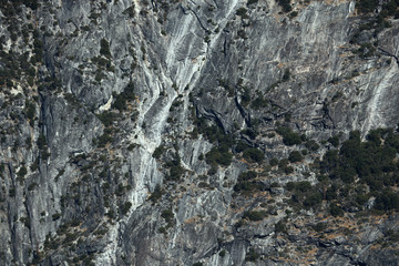 View of the rocks covered with green trees