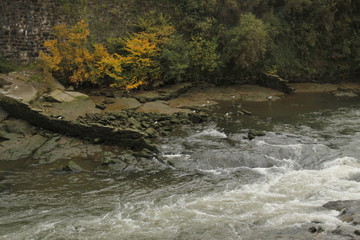 Otoño
