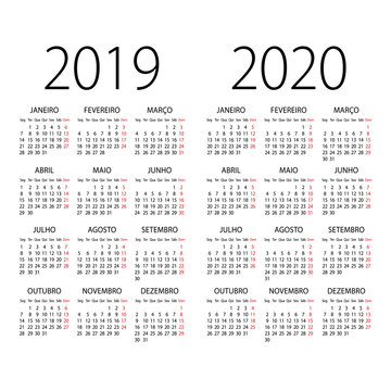 Abstract 2019 and 2020 Portuguese vector calendar. Organizer template.