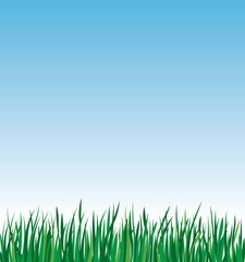 Green grass on a background of blue sky vector stock illustration