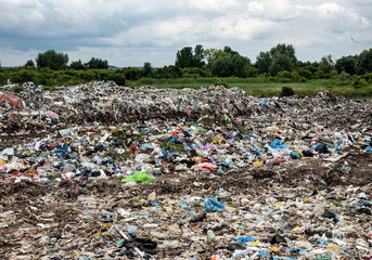 dump near the forest