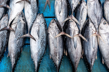 fresh tuna in the market