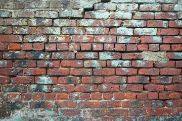 Obraz premium old red brick wall background