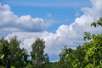 contrast rain storm clouds over green meadow and some trees in summer