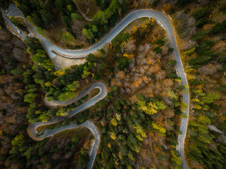 Curvy road trough atumn forest,aerial top down view