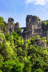 Fototapeta na wymiar View up on stone formations and the famous Bastei bridge in Saxony, Germany
