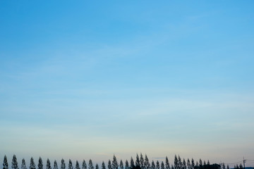 Fototapeta premium blue sky and cloud
