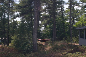 Fototapeta premium hammock in forest