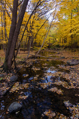 640-57 Hammel Creek Autumn