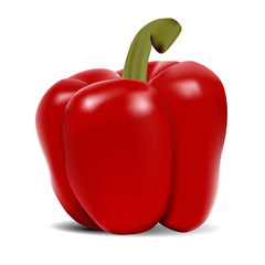 Red pepper. Vector illustration