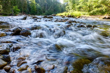 rocky stream of river deep in forest in summer green weather with sandstone cliffs