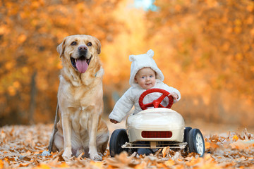 kleiner Junge mit Golden Retriever