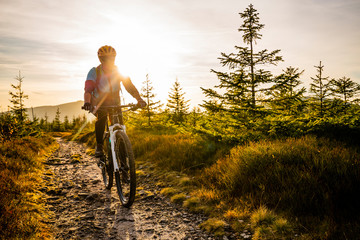 Cycling woman riding on bike in autumn mountains forest landscape. Woman cycling MTB flow trail track. Outdoor sport activity. - obrazy, fototapety, plakaty
