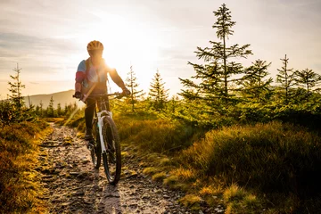 Plexiglas foto achterwand Cycling woman riding on bike in autumn mountains forest landscape. Woman cycling MTB flow trail track. Outdoor sport activity. © Gorilla