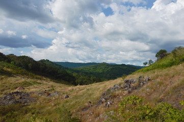 Fototapeta premium landscape of grass flower field blowing from wind on Khao Lon mountain in Thailand