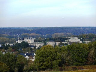 Fototapeta na wymiar Chateau d'Amboise vue de la pagode de Chanteloup en Indre et Loire. France