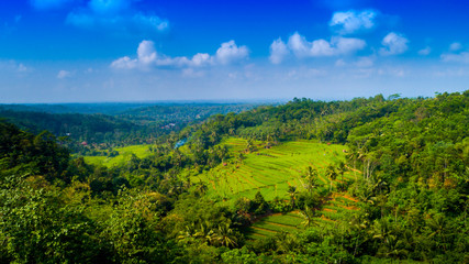 Fototapeta na wymiar Aerial View of Rice Field Terrace, Ciamis, West Java Indonesia, Asia