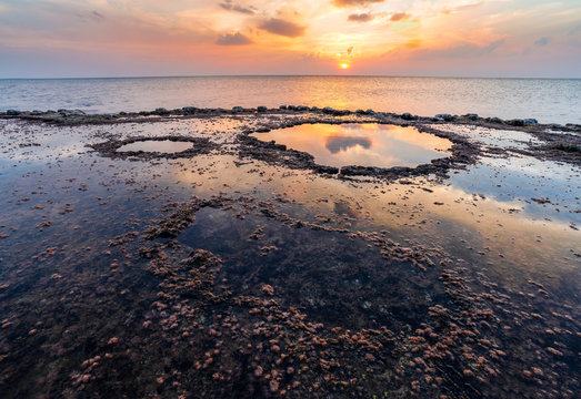 Natural sea pools with underwater plants getting the reflection of the sky at sunset, mediterranean sea, Israel