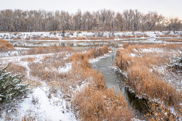 fall or winter scenery of wetlands