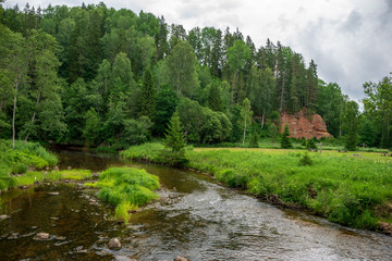 rocky stream of river deep in forest in summer green weather with sandstone cliffs